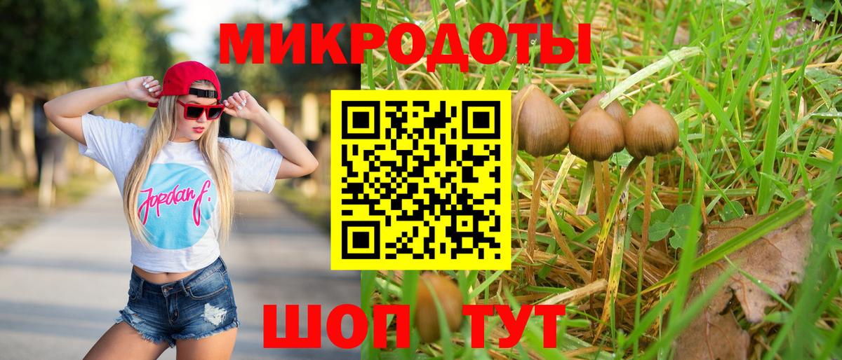 Владимир  Галлюциногенные грибы Magic Shrooms  Псилоцибиновые грибы мицелий  Вход с VPN 