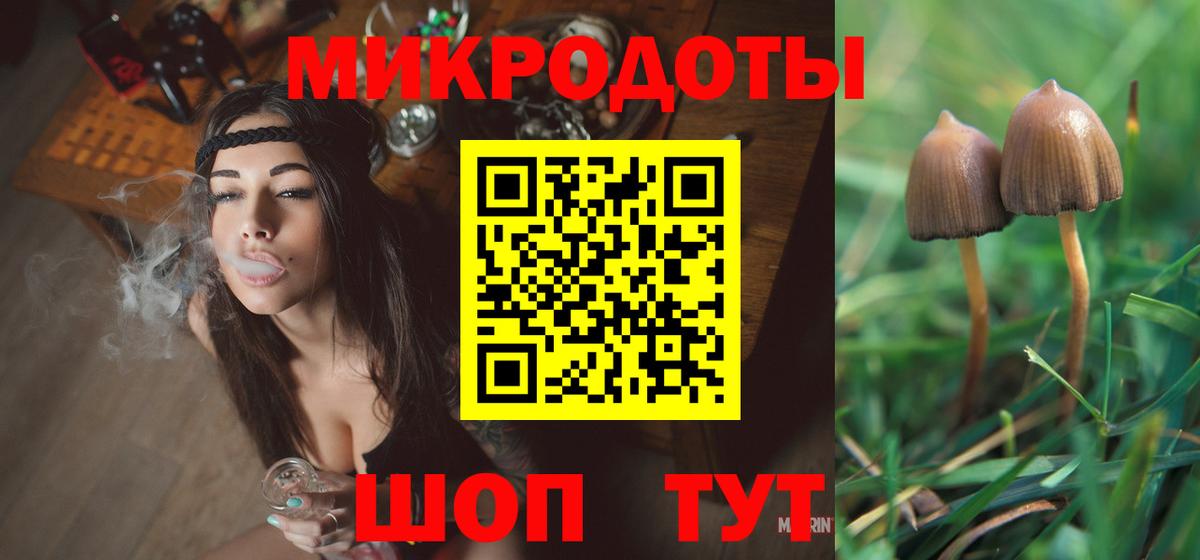 Галлюциногенные грибы мицелий Владимир